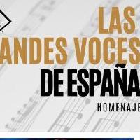 'Grandes voces de España. Homenaje' (AGENCIA ARTISTICA)