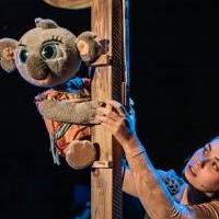 'Bunji, la pequeña koala' (FESTUC TEATRE)