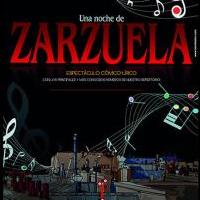 'Una noche de Zarzuela. Concierto Lírico-Cómico' (FERRO TEATRO)