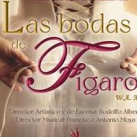 'Las bodas de Fígaro, concierto escenificado' (CAMERATA LÍRICA DE ESPAÑA)