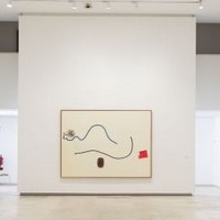 Exposición: 'Berta Cáccamo en diálogo con la Colección de la Asociación Arte Contemporáneo'