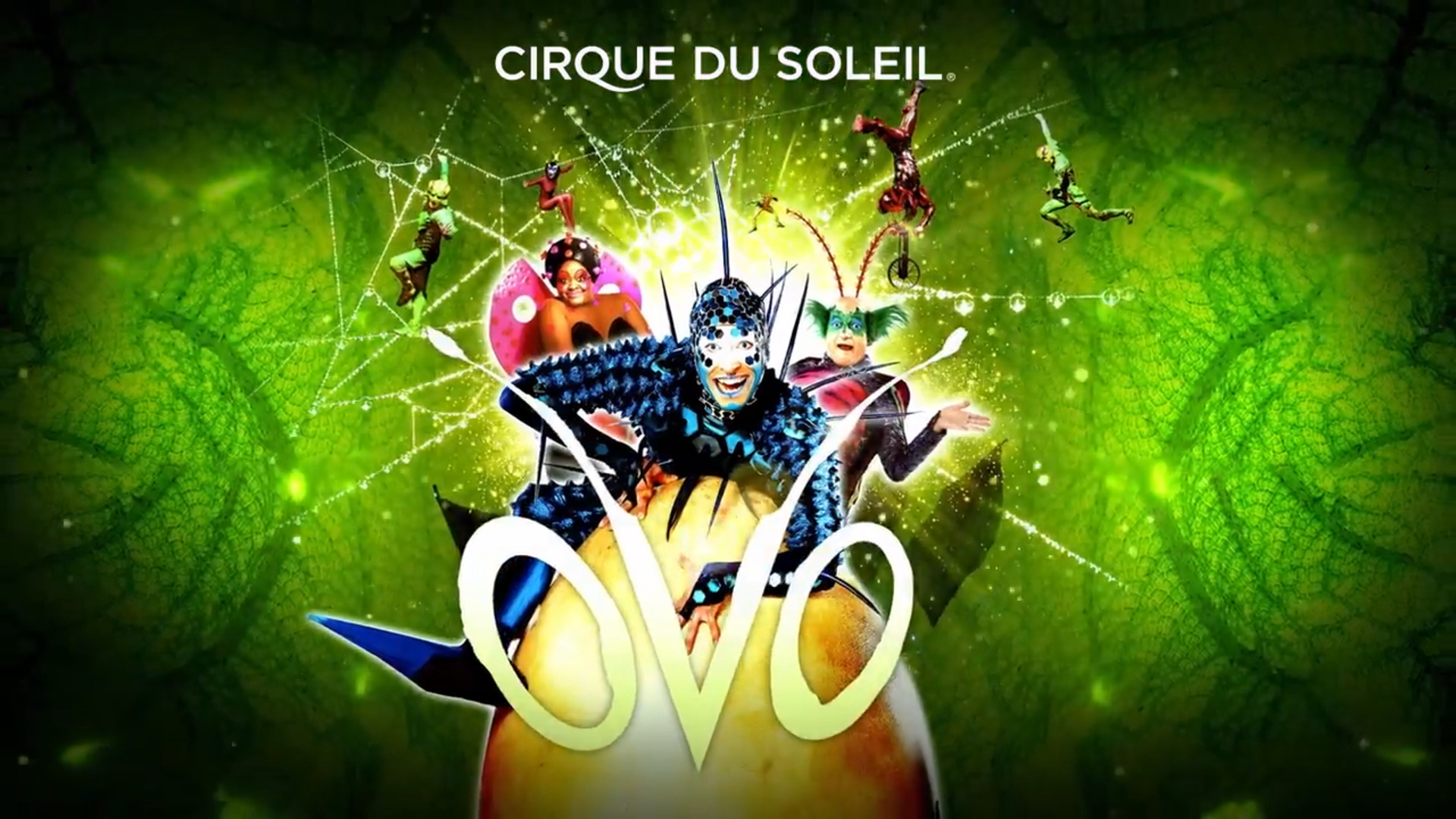 Cirque du Soleil: OVO
