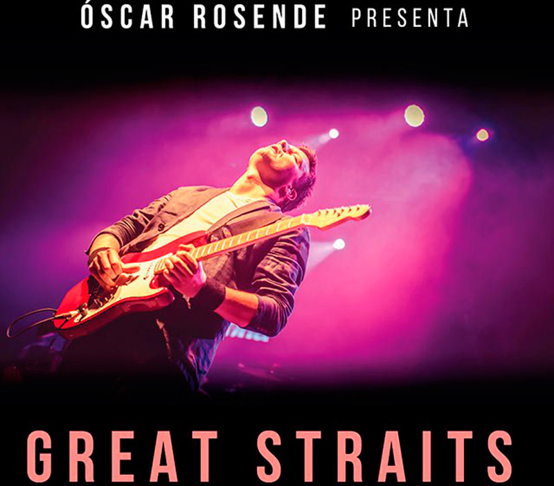 Great Straits- The Great songs of Dire Straits