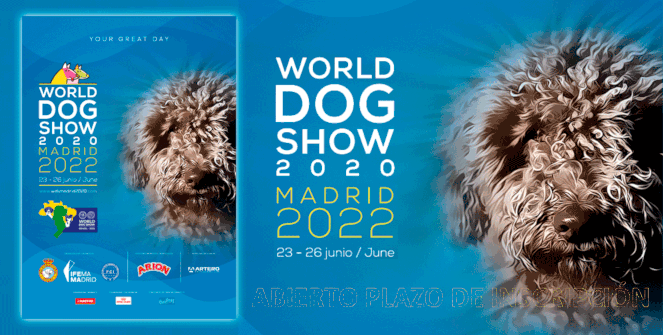 World Dog Show 2020 (Madrid 2022)