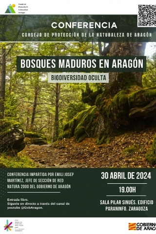 Bosques Maduros en Aragón, biodiversidad oculta